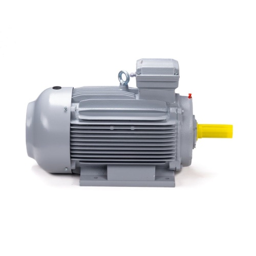 Эл.двигатель ESQ PR 100 LA2-SDN-Б1-S12-IE2 3/3000 IM B3 фото 4