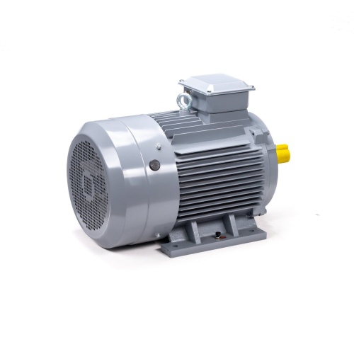 Эл.двигатель ESQ PR 250 S2 GST-Б1-S12-IE2 76/3000 IM 1001 фото 5