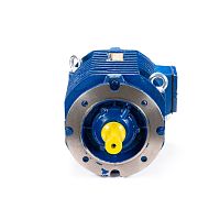 Эл.двигатель 5ARM 64-24 SFL-Б1-S3-H-D-VFD 0.8/250  IM 3001