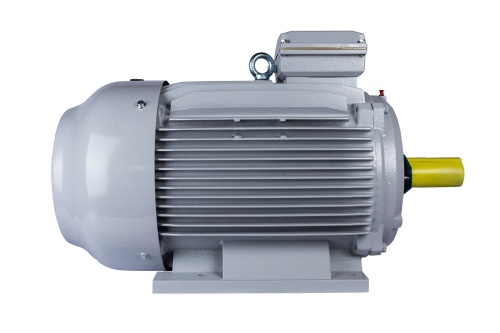 Эл.двигатель ESQ PR 280 M6-SDN-Б1-S12-IE2 55/1000 IM B3 фото 4