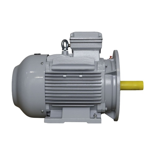 Эл.двигатель ESQ PR 160 L4-SDN-Б1-S12-IE2 15/1500 IM B35 фото 3