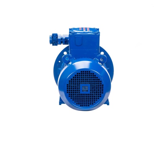 Эл.двигатель АИМУ 100 L8 У1, 380В, 1ExdIIBT4 Gb, 1.5/750  IM 2081 фото 7