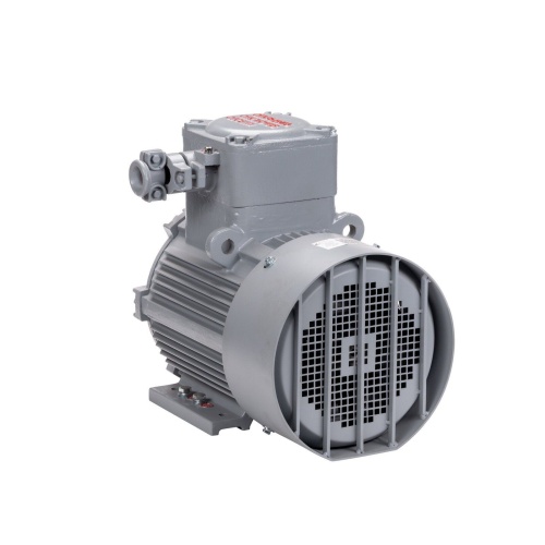Эл.двигатель АИМУ 100 L8 У1, 380В, 1ExdIIBT4 Gb, 1.5/750  IM 1081 фото 8