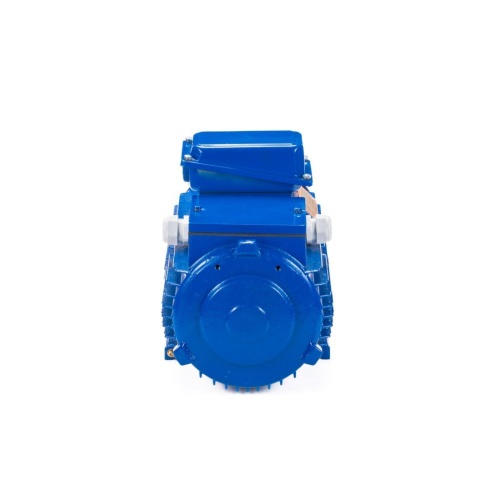 Эл.двигатель 5МТН 225 L8 37/750  IM 1003 фото 7