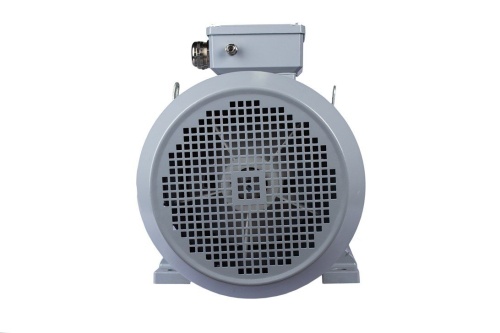 Эл.двигатель ESQ PR 180 L4-SDN-Б1-S12-IE2 22/1500 IM B35 фото 4