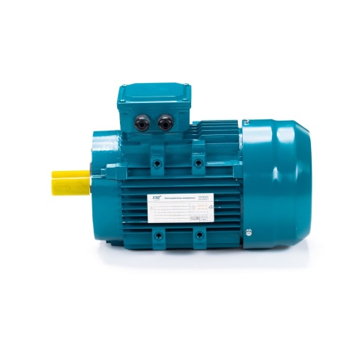 Эл.двигатель ESQ 80 B2-SDN-DS 1.1/3000 IM B14 фото 11