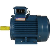 Эл.двигатель 5АИ 100 S4 ED 3/1500  IM 1081