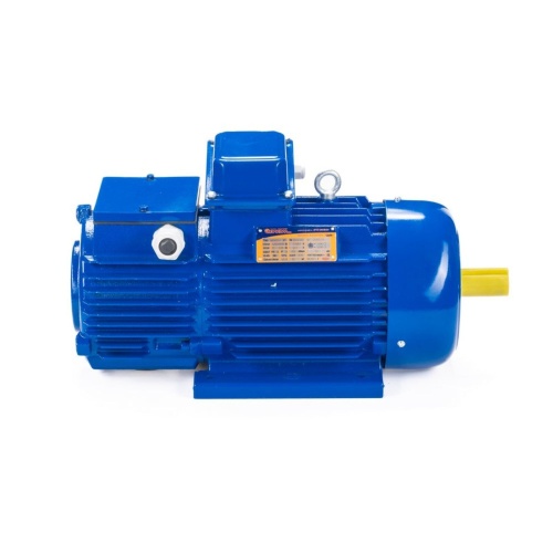 Эл.двигатель 5МТН 225 L8 37/750  IM 1003 фото 4