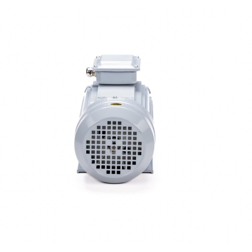 Эл.двигатель ESQ PR 80 В2 GST-Б1-S12-IE2 2.2/3000 IM 1081 фото 7