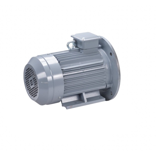 Эл.двигатель ESQ PR 100 L4 GST-Б1-S12-IE2 4/1500 IM 2081 фото 5