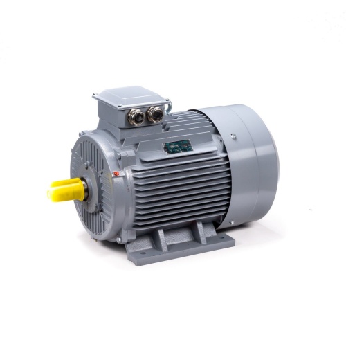 Эл.двигатель ESQ PR 250 S2 GST-Б1-S12-IE2 76/3000 IM 1001 фото 11