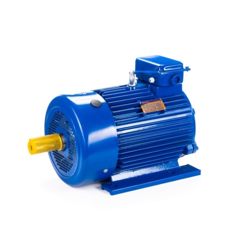 Эл.двигатель 5МТКН 225 L6 55/1000  IM 1003 фото 11