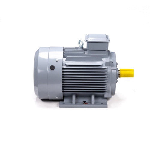 Эл.двигатель ESQ PR 250 S2 GST-Б1-S12-IE2 76/3000 IM 1001 фото 4