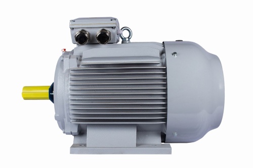 Эл.двигатель ESQ PR 280 S4-SDN-Б1-S12-IE2 75/1500 IM B3 фото 5