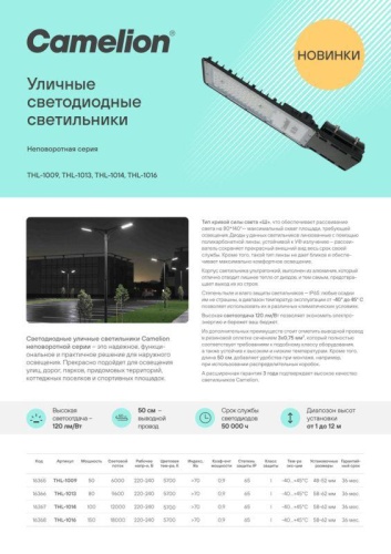 Светильник THL-1014 100Вт 5700К IP65 12000лм 220-240В 385х136х24 КСС "Ш" 1/10 НПВ уличный Camelion 16367 фото 5