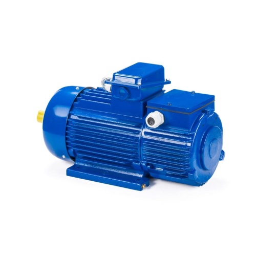 Эл.двигатель 5МТН 225 L8 37/750  IM 1003 фото 9