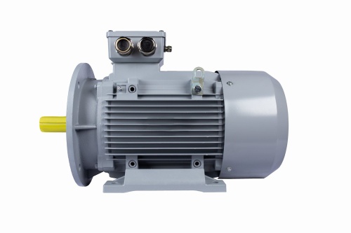 Эл.двигатель ESQ PR 180 L4-SDN-Б1-S12-IE2 22/1500 IM B35 фото 5
