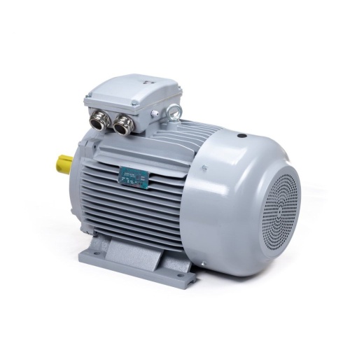 Эл.двигатель ESQ PR 250 M4-SDN-Б1-S12-IE3 55/1500 IM B3 фото 7
