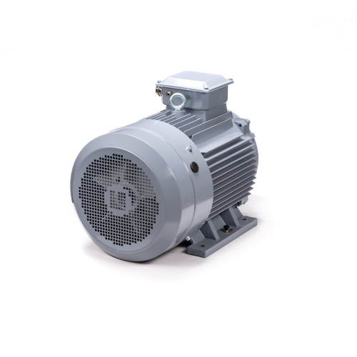 Эл.двигатель ESQ PR 250 S2 GST-Б1-S12-IE2 76/3000 IM 1001 фото 6