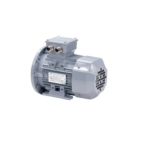 Эл.двигатель ESQ PR 315 S6-SDN-Б1-S32-IE3 75/1000 IM B35 фото 9