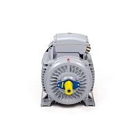 Эл.двигатель ESQ PR 315 S2-SDN-Б1-S12-IE2 110/3000 IM B3