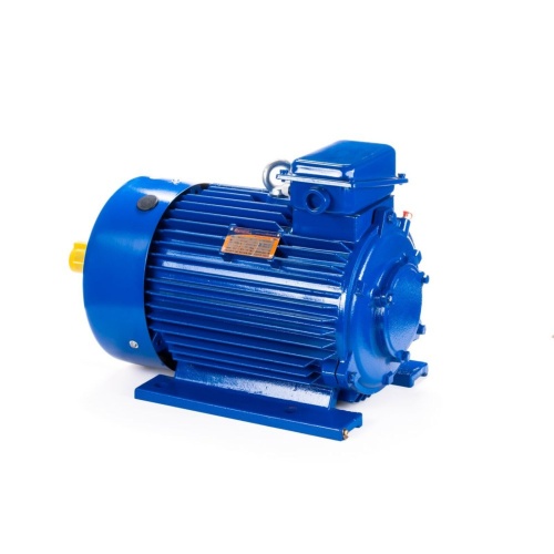 Эл.двигатель 5МТКН 225 L6 55/1000  IM 1003 фото 9