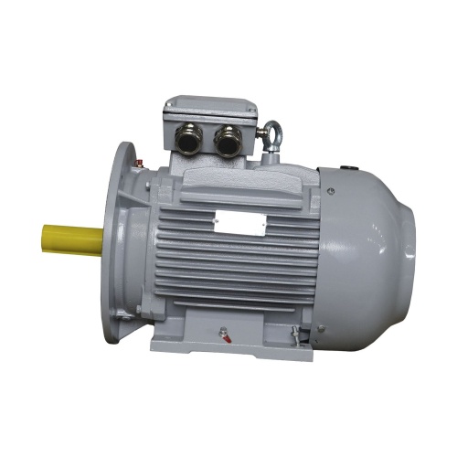 Эл.двигатель ESQ PR 160 L4-SDN-Б1-S12-IE2 15/1500 IM B35 фото 6
