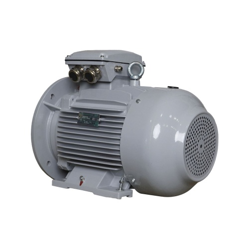 Эл.двигатель ESQ PR 160 L4-SDN-Б1-S12-IE2 15/1500 IM B35 фото 7
