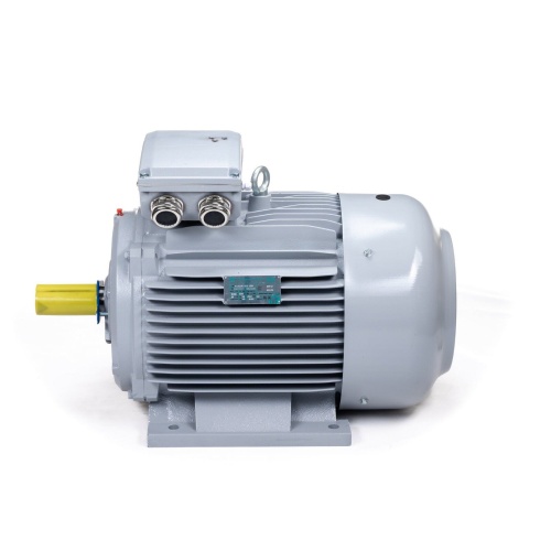 Эл.двигатель ESQ PR 355 MA2-SDN-Б1-S12-IE3 250/3000 IM B3 фото 8