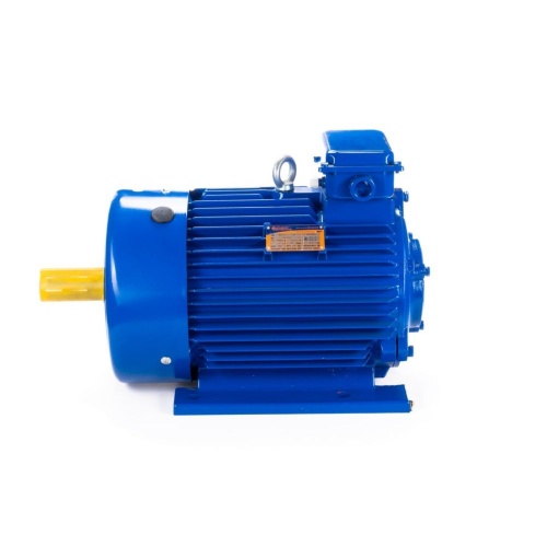 Эл.двигатель 5MTКH 200 LB8 22/750  IM 1003 фото 10