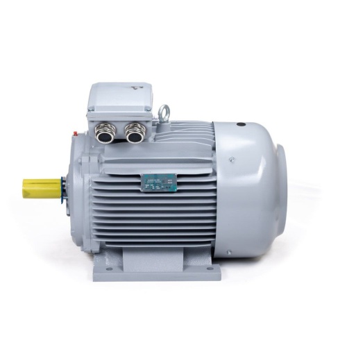Эл.двигатель ESQ PR 250 M4-SDN-Б1-S12-IE3 55/1500 IM B3 фото 8