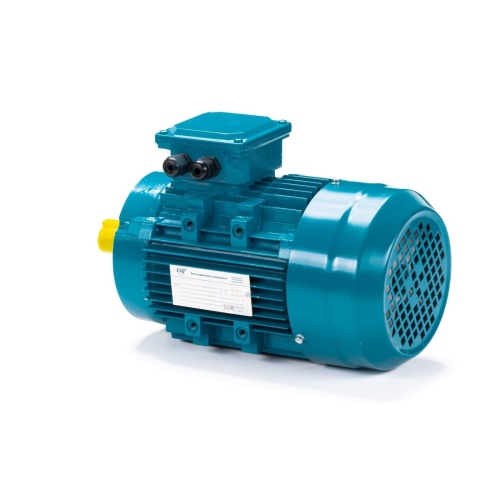 Эл.двигатель ESQ 80 B2-SDN-DS 1.1/3000 IM B14 фото 10
