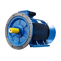 Эл.двигатель 5АИ 280 М2 132/3000 IM 2001