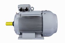 Эл.двигатель ESQ PR 315 S4-SDN-Б1-S12-IE3 110/1500 IM B3