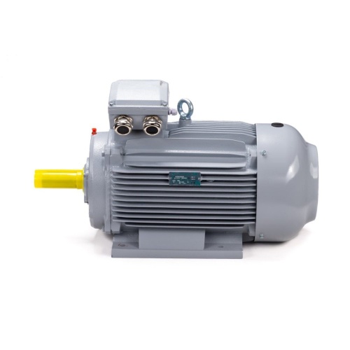 Эл.двигатель ESQ PR 100 LA2-SDN-Б1-S12-IE2 3/3000 IM B3 фото 10