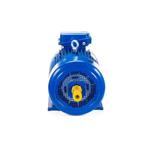 Эл.двигатель 5МТКН 225 L6 55/1000  IM 1003 фото 3