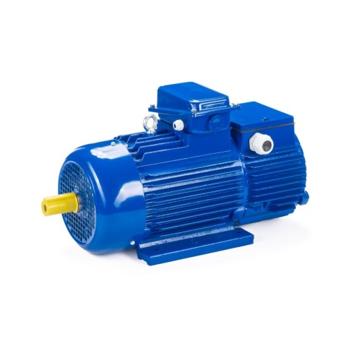 Эл.двигатель 5МТН 200 LB8 22/750  IM 1003 фото 11
