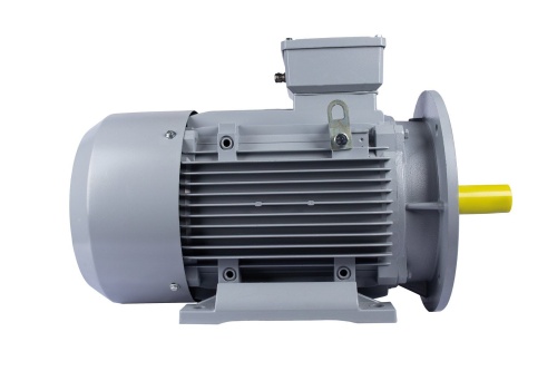 Эл.двигатель ESQ PR 180 L4-SDN-Б1-S12-IE2 22/1500 IM B35 фото 3
