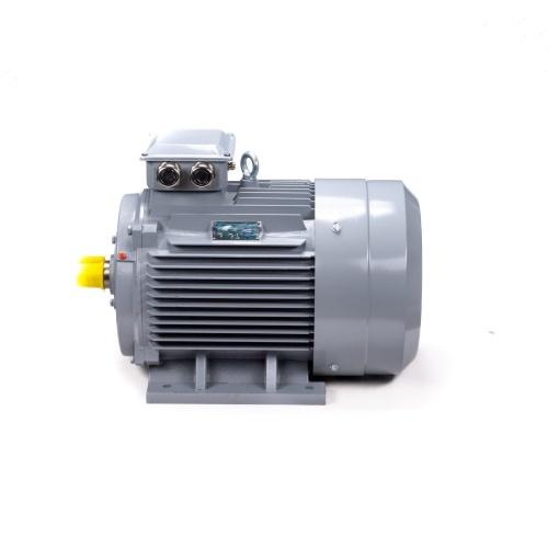 Эл.двигатель ESQ PR 250 S2 GST-Б1-S12-IE2 76/3000 IM 1001 фото 10