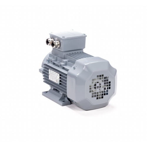 Эл.двигатель ESQ PR 80 A4-SDN-Б1-S12-IE2 0.55/1500 IM B34 фото 8