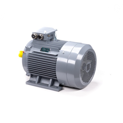 Эл.двигатель ESQ PR 250 S2 GST-Б1-S12-IE2 76/3000 IM 1001 фото 8