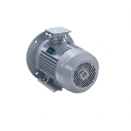 Эл.двигатель ESQ PR 100 L4 GST-Б1-S12-IE2 4/1500 IM 2081 фото 8