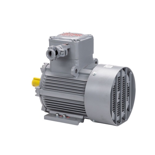 Эл.двигатель АИМУ 100 L8 У1, 380В, 1ExdIIBT4 Gb, 1.5/750  IM 1081 фото 9