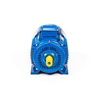 Эл.двигатель 5АИ 355 LD4 500/1500 IM 1001