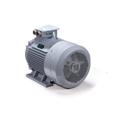 Эл.двигатель ESQ PR 250 S2 GST-Б1-S12-IE2 76/3000 IM 1001 фото 9