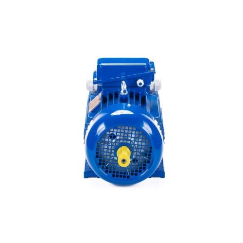 Эл.двигатель 5МТН 200 LB8 22/750  IM 1003 фото 3