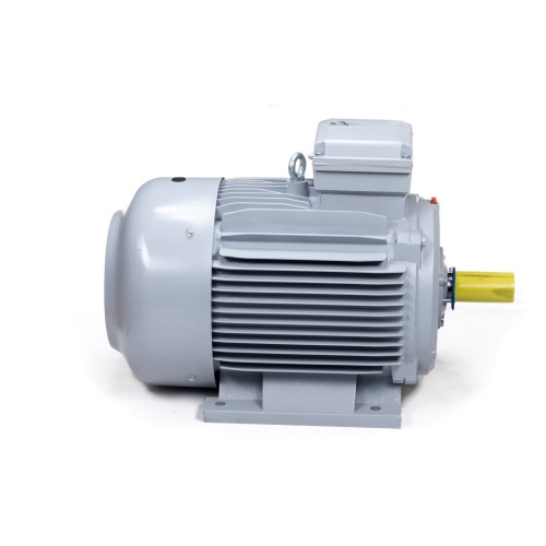 Эл.двигатель ESQ PR 355 MA2-SDN-Б1-S12-IE3 250/3000 IM B3 фото 3