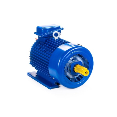 Эл.двигатель 5MTКH 200 LB8 22/750  IM 1003