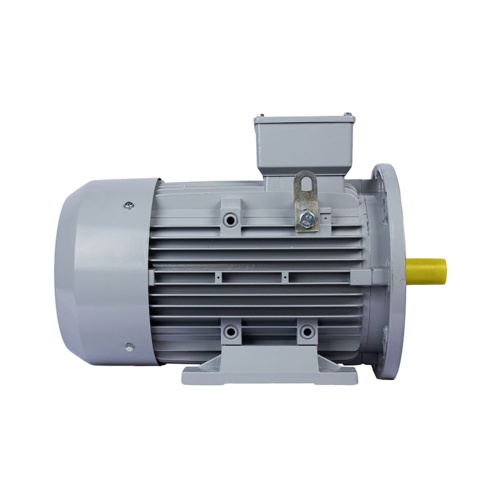 Эл.двигатель ESQ PR 100 LA2-SDN-Б1-S12-IE2 3/3000 IM B35 фото 3