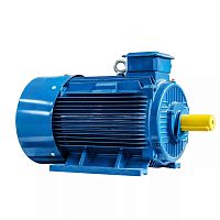 Эл.двигатель 5АИ 355 MLD2 500/3000 IM 1001